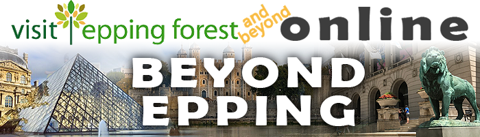 Poster with writing for Epping Forest online Beyond Epping